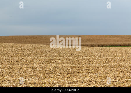 Arare i campi di mais in rural Iowa alla fine della caduta la raccolta del granoturco. Foto Stock