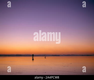 La Nuova Zelanda. Isola del nord. Coppia giovane passeggiate con il cane su Piha Beach al tramonto. Foto Stock
