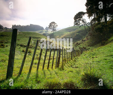 La Nuova Zelanda. Waikato. Farmland pascolo con recinto di filo. Foto Stock