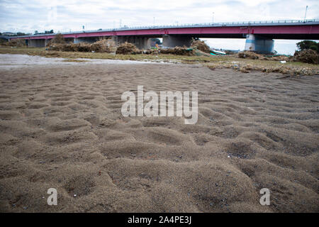 TAMAGAWA, KAWASAKI - 15 Ottobre 2019 : distruzione lasciata dal tifone Hagibis nel Tamagawa riverbank. Foto Stock