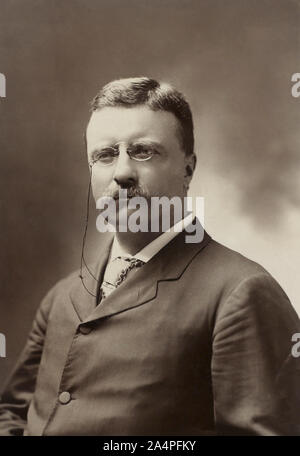 Theodore Roosevelt (1858-1919), il ventiseiesimo Presidente degli Stati Uniti 1901-09, Half-Length ritratto come il governatore di New York, fotografia di George Prince, Luglio 1900 Foto Stock