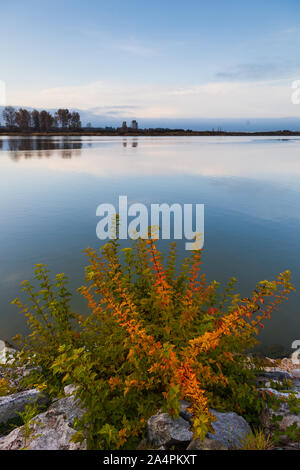 I colori autunnali sul display lungo il lungomare di Steveston in British Columbia Canada Foto Stock
