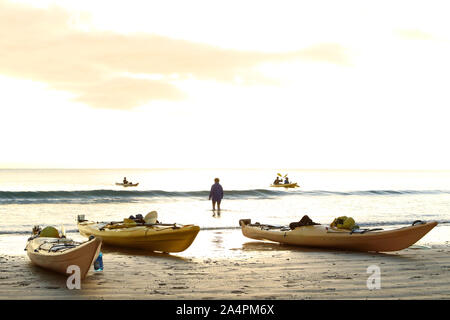 Ecoturismo con ocean canoe kayak su una spiaggia isolata al tramonto. piccole onde ed ambientalmente sostenibile turisti paddling in riva a. Viaggiare Foto Stock