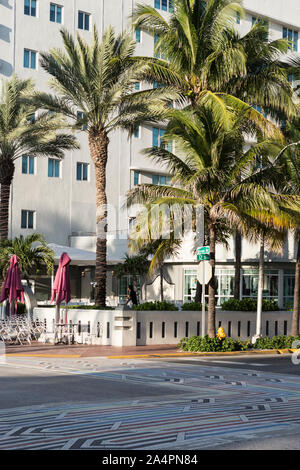 Palme e pattern colorati sulla croce a piedi su Ocean Drive a South Beach, Miami Beach, Florida Foto Stock