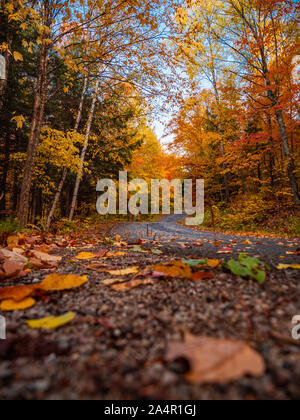 Country Road in Canada durante la caduta di nuovo in strada Foto Stock