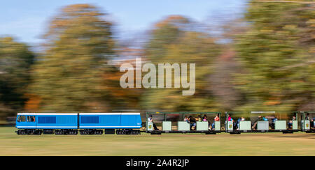 Dresden, Germania. 15 ottobre, 2019. La locomotiva EA02 di Dresdner Parkeisenbahn tira un treno passeggeri attraverso il già autumnally colorato grande giardino. La Dresdner Parkeisenbahn è un Liliputbahn (scartamento tipicamente di 381 mm/15 pollici britannici) gestito in conformità con la costruzione e il funzionamento di regolamenti per il pioniere delle ferrovie (BOP) ed è stata fondata nel 1950 come i bambini di ferrovia e azionato al momento della Repubblica democratica tedesca (RDT) come 'Pioniereisenbahn Dresden'. Credito: Jens Büttner/dpa-Zentralbild/dpa/Alamy Live News Foto Stock