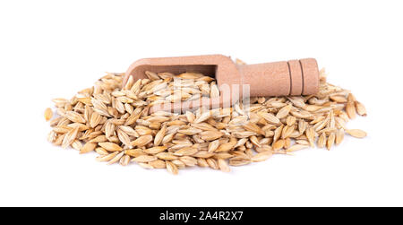 Malto d' orzo grani del cucchiaio di legno, isolato su sfondo bianco. Orzo destinato alla semina close up. Foto Stock