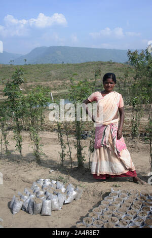 Una donna si trova di fronte a una piantagione di tè, in Alujori, Jaflong, sylhet, Bangladesh. Il 18 gennaio 2010. Foto Stock