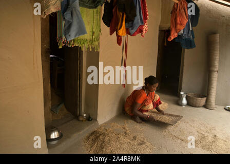 Una donna dalla comunità Santal winnows paddy nella veranda di casa sua, in Joypurhat, Rajshahi, Bangladesh. Il 20 maggio 2011..L'Santals sono una minoranza etnica a vivere in una comunità in diversi distretti di Rajshahi divisione in Bangladesh. La maggior parte non proprio a terra e il lavoro come tutti i giorni pagati operai per retribuzioni molto basse. Gran parte dei miglioramenti apportati in termini di tecnologia hanno bypassato queste comunità isolate dove dominano i maschi e le donne sostenere il fardello di agricoltura e di effettuare altri mezzi di sussistenza.Santals sono anche il gruppo etnico in India dove hanno insediamenti negli stati di Jharkhand, Wes Foto Stock