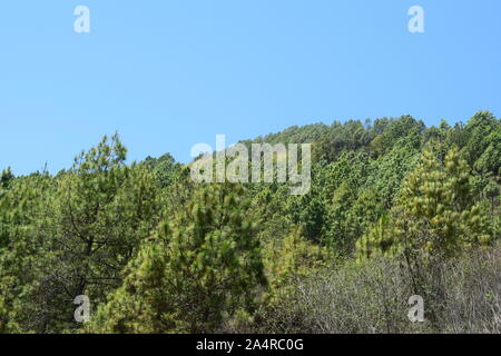 Bellissimo paesaggio nella parte orientale del Nepal Hillside Foto Stock