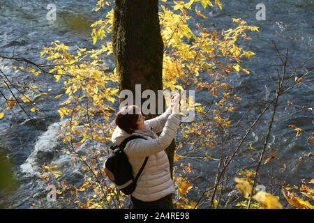 Vilnius, Lituania. 15 ottobre, 2019. Una donna prende le immagini di paesaggio autunnale presso un parco vicino alla piazza della cattedrale di Vilnius, Lituania, dal 15 ottobre 2019. Credito: Guo Mingfang/Xinhua/Alamy Live News Foto Stock