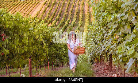 Ragazza con un bicchiere di vino e vigneti. Verdi colline con le uve e i raggi del sole al tramonto. Stagione di raccolto in Italia. Emozioni e momenti felici Foto Stock