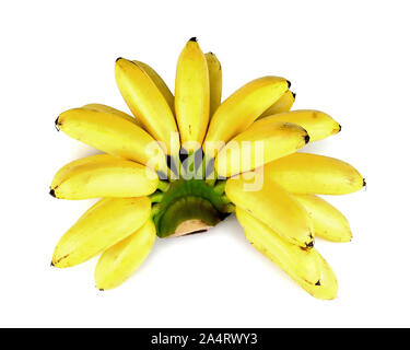 Mazzetto di baby banane isolati su sfondo bianco. Foto Stock