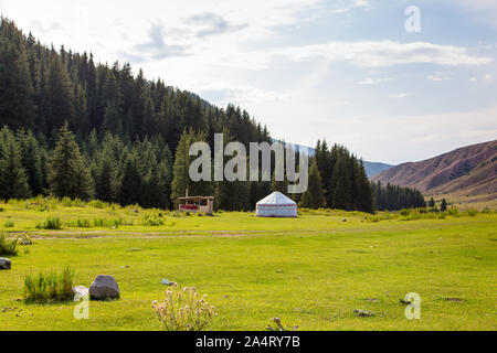 Paesaggio di estate in montagna. Alberi di alto fusto di un albero di Natale, la nazionale di dimora è un yurt. Kirghizistan Turismo e Viaggi Foto Stock