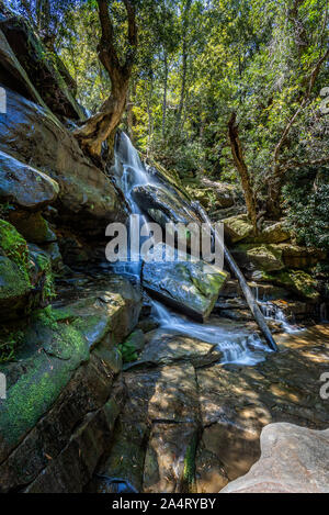 Sun pezzata vista di Somersby cade e boschi a Somersby, NSW, Australia Foto Stock