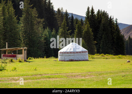 Paesaggio di estate in montagna. Alberi di alto fusto di un albero di Natale, la nazionale di dimora è un yurt. Kirghizistan Turismo e Viaggi Foto Stock