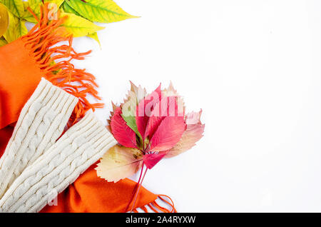 Piatto con laici vestiti caldi per l'autunno, sciarpa, scarpe, guanti su uno sfondo bianco con foglie per tempo fresco e colorato luminoso cadono le foglie essiccate o Foto Stock