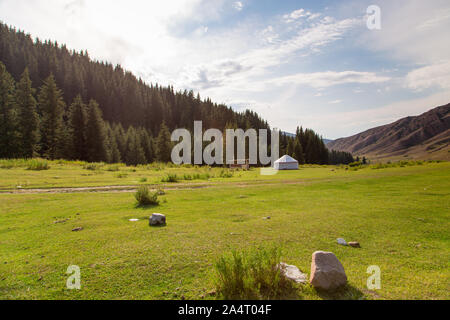 Paesaggio di estate in montagna. Alberi di alto fusto di un albero di Natale, la nazionale di dimora è un yurt. Kirghizistan Turismo e Viaggi Foto Stock