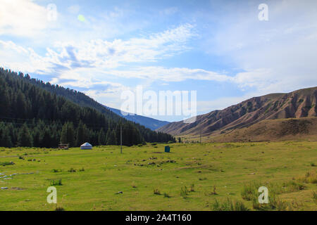 Paesaggio di estate in montagna. Alberi di alto fusto di un albero di Natale, la nazionale di dimora è un yurt. Kirghizistan Turismo e Viaggi Foto Stock