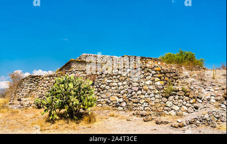 Ficodindia impianto al Yagul sito archeologico in Messico Foto Stock