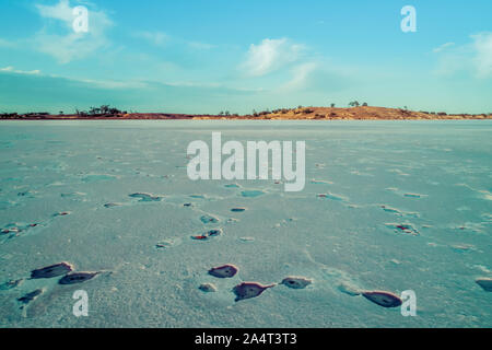 Patch di crosta di sale sulla superficie del lago nel deserto australiano Foto Stock