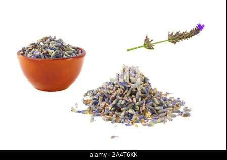 Secchi fiori di lavanda, sullo stelo o alla rinfusa. Sfondo bianco Foto Stock