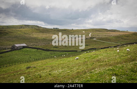 Paesaggio dal forte romano a Housesteads sul vallo di Adriano, Northumberland, Inghilterra Foto Stock