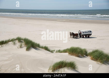 Carrello a cavallo in spiaggia a Terschelling island in Olanda Foto Stock