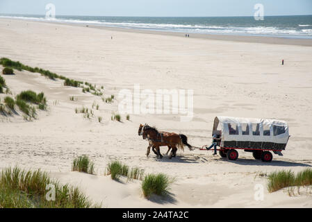 Carrello a cavallo in spiaggia a Terschelling island in Olanda Foto Stock