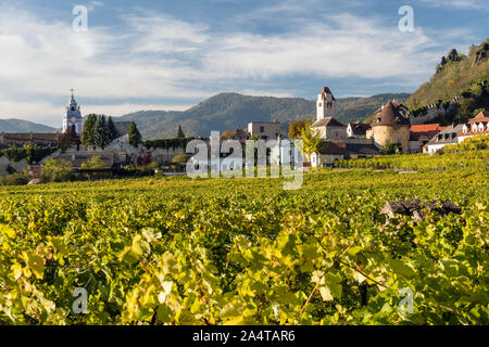 Vigneto di fronte alla città di Durnstein sul fiume Danubio, regione di Wachau, Austria Foto Stock