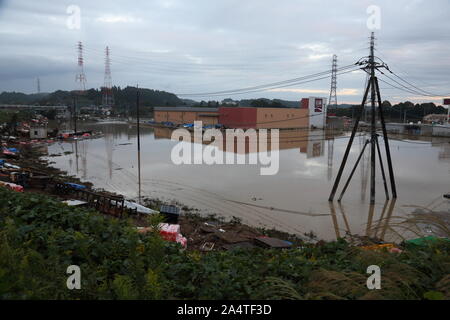 Mito per la città, Giappone. 15 ottobre, 2019. Case sommerse dal fiume Naka allagamento dopo il tifone Hagibis.Il numero di morti sale a 48, due giorni dopo il tifone Hagibis passata attraverso il Giappone mentre 15 sono ancora mancanti e più di un centinaio di feriti come migliaia di truppe militari in missioni di soccorso in tutto il paese. Credito: SOPA Immagini limitata/Alamy Live News Foto Stock