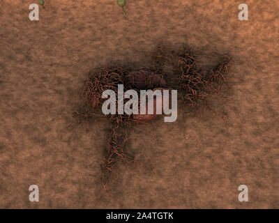 Funghi sulla superficie del cuoio, del fungo rilascia spore, paesaggio di microcosmo, spora caduti sulla superficie di pelle Foto Stock