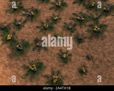 Funghi sulla superficie del cuoio, del fungo rilascia spore, paesaggio di microcosmo, spora caduti sulla superficie di pelle Foto Stock