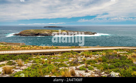 Admirals Arch boardwalk nel Parco Nazionale di Flinders Chase, Kangaroo Island, Sud Australia Foto Stock