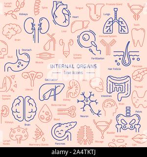 Vettore tema medico disegno costituito da colorate icone lineare interno di organi umani con i nomi Illustrazione Vettoriale
