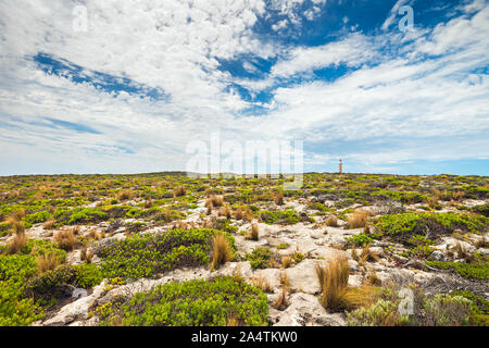 Kangaroo Island paesaggio con Cape du Couedic faro sull orizzonte, Sud Australia Foto Stock