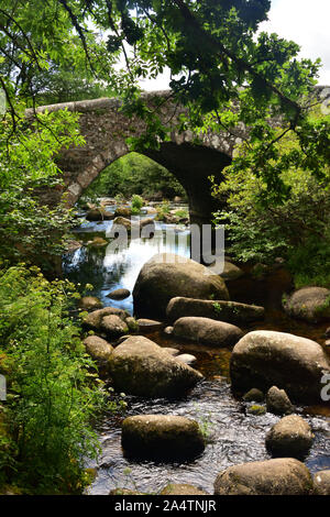 Il masso-disseminata est fiume Dart a Dartmeet, Yelverton, su Dartmoor Foto Stock