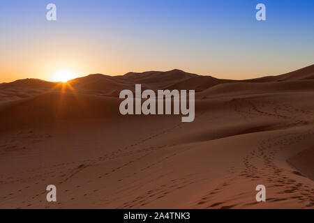 Erg Chebbi, Marocco, dune di sabbia del deserto del Sahara formata dal vento sono il risveglio ai primi raggi del giorno, illuminata dal sole. Foto Stock