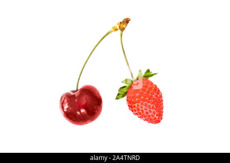 La ciliegia e fragola insieme sullo stesso stelo doppio isolato su sfondo bianco. Frutto partnership commerciale o twins concept Foto Stock