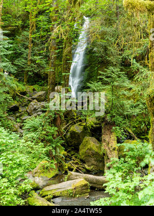 Una cascata su un nuvoloso giorno vicino al lago Quinault, Washington, Stati Uniti d'America. Foto Stock