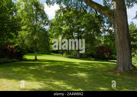 RHS Rosemoor garden in estate vicino a grande Torrington, Devon, Inghilterra. Foto Stock