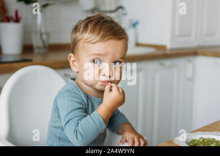 Affascinante piccolo concentrato baby boy mangiare cibo prima uva verde presso la luminosa cucina a casa Foto Stock