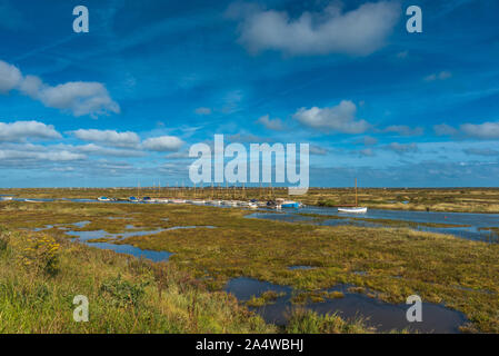 Morston saline visto dalla Blakeney a Morston sentiero costiero. Norfolk, Inghilterra, Regno Unito. Foto Stock