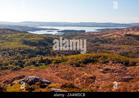 Vista della Baia di Glengarriff, Irlanda, mattina Foto Stock