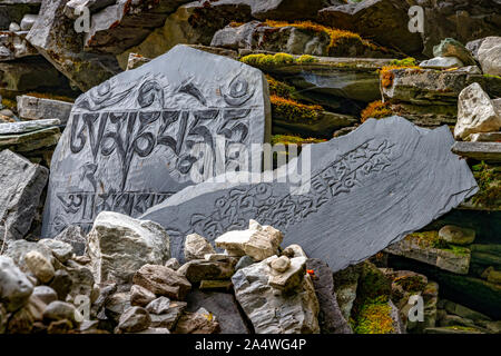 Antico testo tibetano incisi su lastre di pietra sparsi per l'Grass-Covered terre di Yading naturale area di conservazione del Sichuan, in Cina Foto Stock