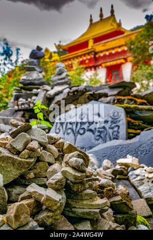 Antico testo tibetano incisi su lastre di pietra sparsi per l'Grass-Covered terre di Yading naturale area di conservazione del Sichuan, in Cina Foto Stock