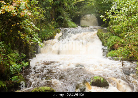 Cascate sulla trasformata per forte gradiente Oak acqua a Watersmeet Dopo forti piogge, Lynmouth, Devon, Exmoor Foto Stock