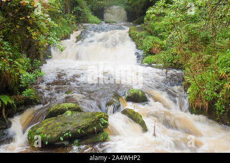 Cascate sulla trasformata per forte gradiente Oak acqua a Watersmeet Dopo forti piogge, Lynmouth, Devon, Exmoor Foto Stock