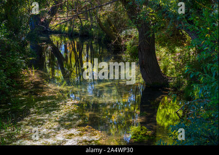 Fiume e riflessi sull'acqua. Foto Stock