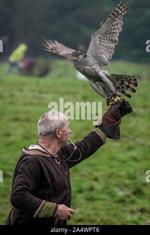 Falconeria medievale viene visualizzato durante la Battaglia di Hastings 1066 storica rievocazione presso il sito della battaglia originale. Foto Stock